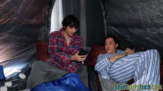 Guineu puma copejat pel curt nois en trio fins corrida